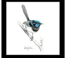 Online Business Fabric & Haberdashery Retail