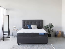 Established Retail Business For Sale with Option to Buy FREEHOLD