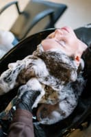 Profitable Boutique Hair Salon - Inner West Brisbane