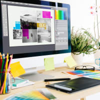 Premium profitable Online Design RTO. Global Students. Proprietary LMS (REF: 1560S)