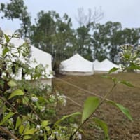 Luxury Glamping Tents - Townsville