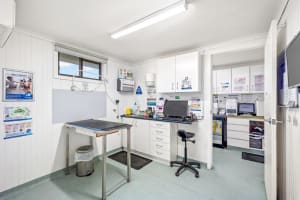 Longstanding Small Animal Veterinary Practice with Loyal Clientele & Modern Facilities