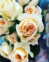 Oakleighs Iconic Florist Nursery Business for Sale SV1585