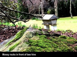 HERITAGE SEED BANK and OPEN GARDEN