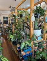 Tptmyqni9djtti9jyysq