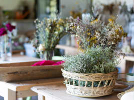Iconic Home Decor & Gift Business, Online Growth Potential - EBS