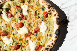 Tqu1oobwlejlurlir0l2