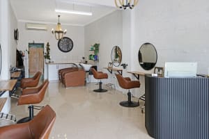SALON SASS & CO - Established Reputation & Clientelle