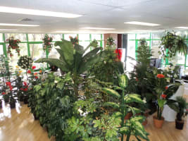 Tskomy3r5pzlve13ckvs