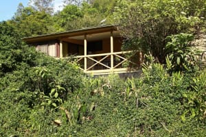 Sustainable Hazelnut & Agritourism Business Opportunity