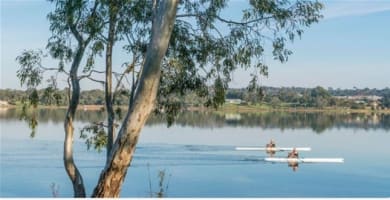 Specialist boutique Strata Management agency in Wagga Wagga