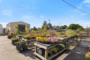 Multiflora Nursery - Colac (IWR2646)