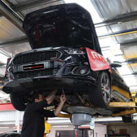 Established Performance Automotive Brand For Sale