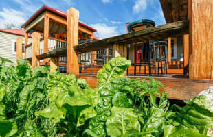 HISTORIC ROBBIE BURNS HOTEL   -  SOUTH COAST- LEASEHOLD