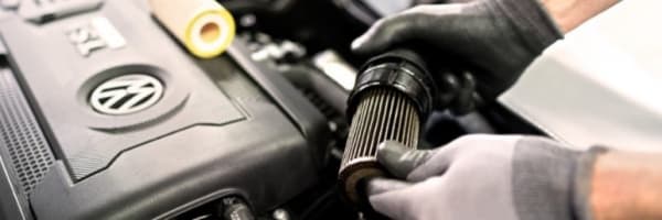 Tzylvoqww61dyhwva8xh