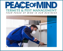 Established Termite & Pest Management Business Flexible, Mobile Operation. WIWO