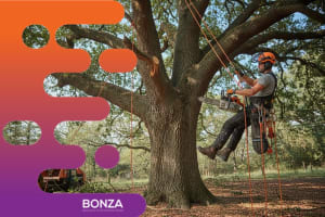 37033 - Profitable Tree Services Business with Loyal Client Base