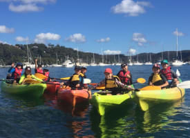 KAYAK AND STAND UP PADDLE BOARD HIRE BUSINESS - BAYVIEW / PITTWATER