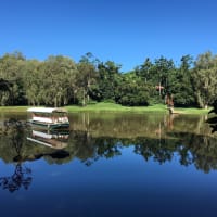 The closest Wet Tropics World Heritage river-based experience to Cairns