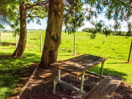 STRATEGIC FREEHOLD TOURISM PARK IN HIGH-GROWTH NATURE DESTINATION - 222CPF