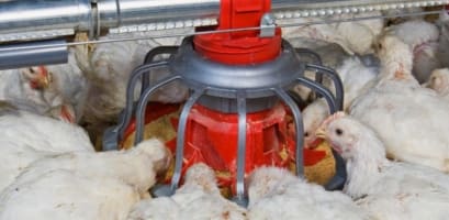 Ud2bpaxfplli8znjjy31