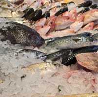 Fresh Seafood Business - Easy To Run