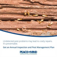 Established Termite & Pest Management Business Flexible, Mobile Operation. WIWO