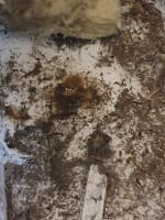 Roof Insulation replacement Services - Perth Metro