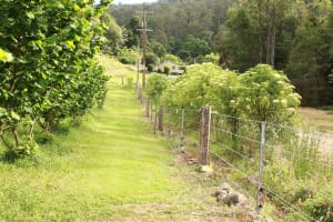 Sustainable Hazelnut & Agritourism Business Opportunity