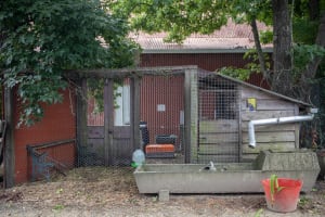 Kangaroo Valley Rural Supplies