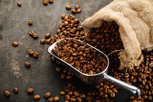 "Specialty Coffee Café Opportunity in Maryborough, QLD"