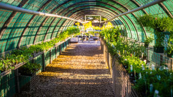 Katherine Mitre10 - highly profitable with multi million sales p.a.