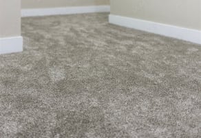Established Flooring and Window Furnishings Business-Mackay