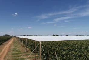 Um96mjtygtdpohox4zxx