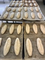 GEELONG GLUTEN FREE FOR SALE – POA