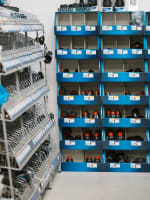 A perfect opportunity to make the tree change and make money from day one