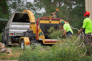 Arborist Business with Council Contract for Sale ST1587