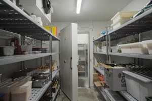 Fully Established Restaurant with Option to Continue Existing Mexican Franchise