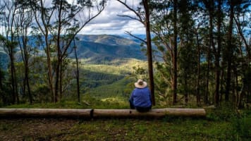 Usbq1cc5zlrdvultslag