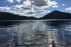 Cudgegong Waters Park – Established Lakeside Holiday Park with Diverse Income Streams