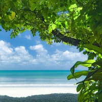 Daintree Rainforest Luxe Eco Lodge For Sale