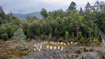 Asset-Based Small Scale Commercial Beekeeping Opportunity for Sale