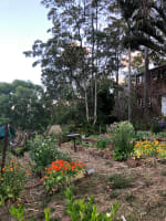 Uws4gbhtx9zt7rb9hsax