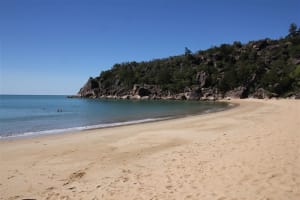 Two for the price of One looking for the Ultimate Sea Change!