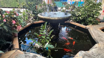 Profitable 15 - Room Murray River Motel with Long Lease Security