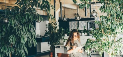 High-Margin Plant Service Business