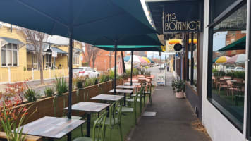 Ms Botanica - attracts a loyal following of locals