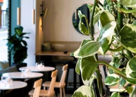 ​DOCASA – IVANHOE