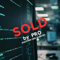 SOLD BY PRO. ANOTHER WANTED.  IT Business for Sale – Profitable & Established B2B IT Services Pro...