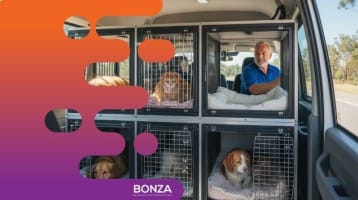 Vcp2nbwxgywc0oqflqpp